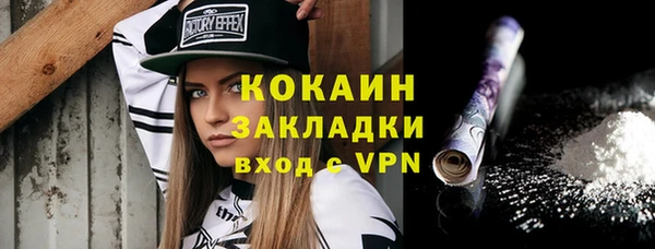тгк Алзамай
