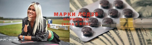 гашик Алексин