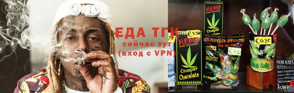 тгк Алзамай