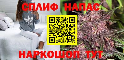 гидра Донецк