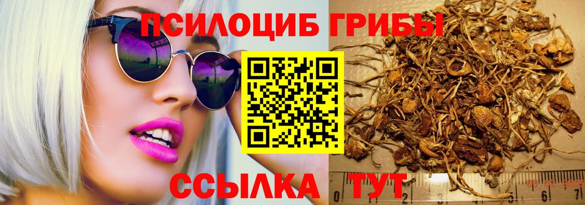 Псилоцибиновые грибы мицелий Миллерово
